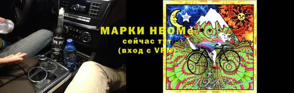 спиды Новозыбков