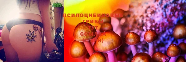 трава Навашино