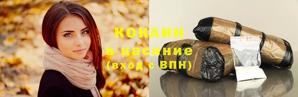 винт Бикин