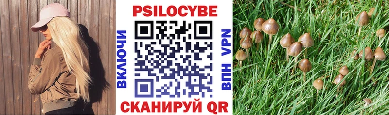 Галлюциногенные грибы прущие грибы купить закладку Богородск