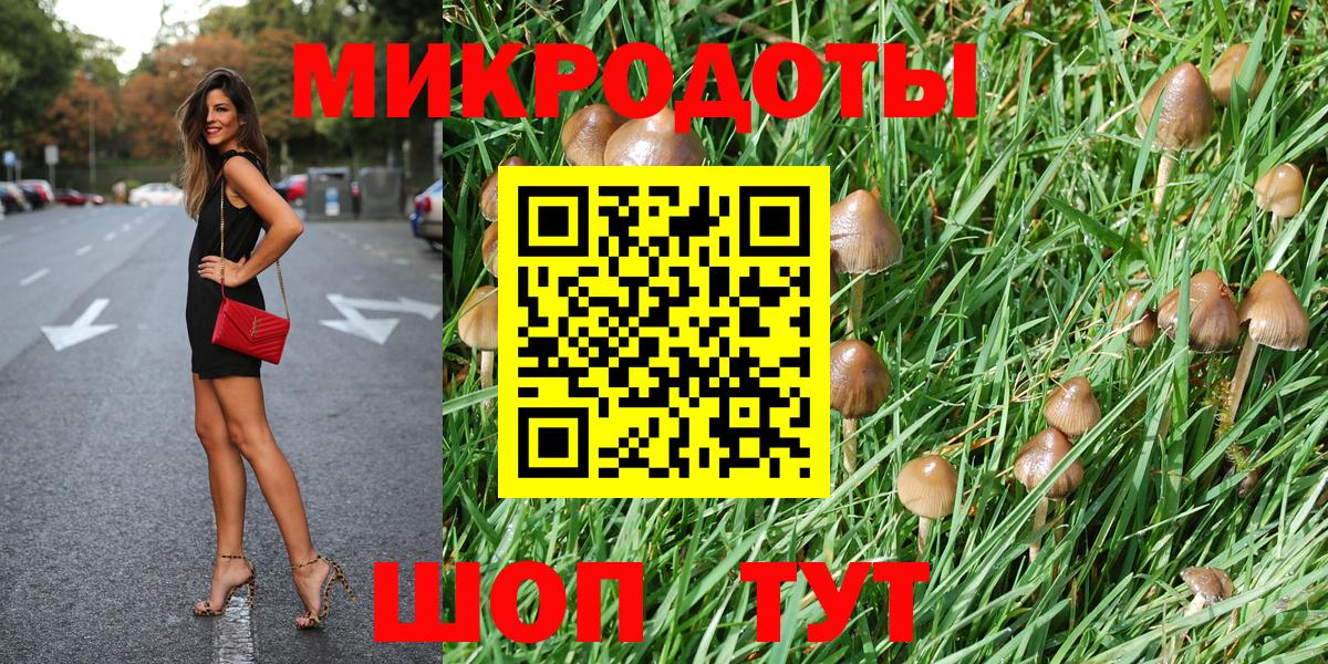 Галлюциногенные грибы Cubensis Богородск