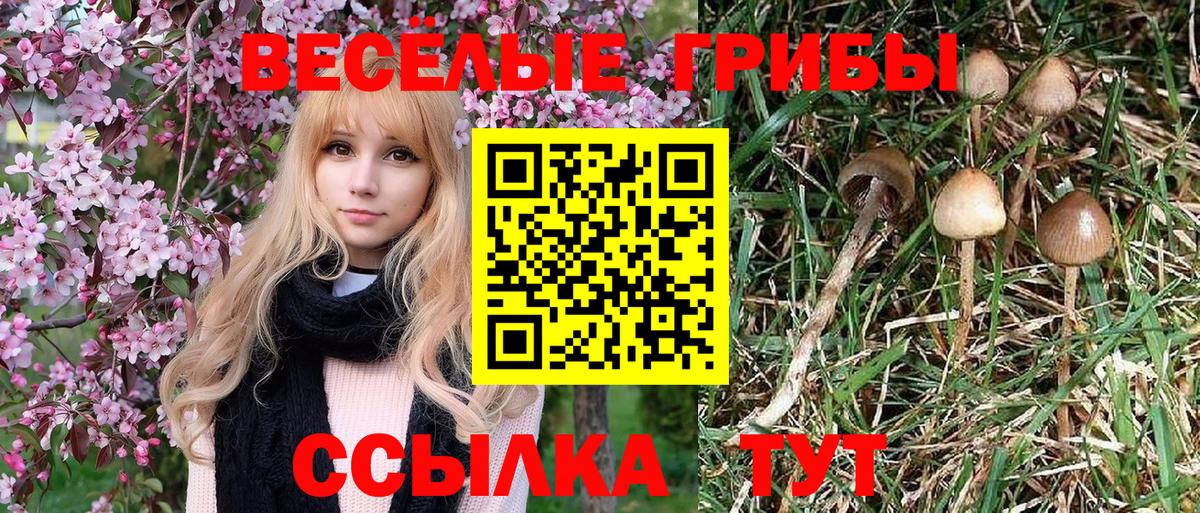 Галлюциногенные грибы Magic Shrooms Богородск