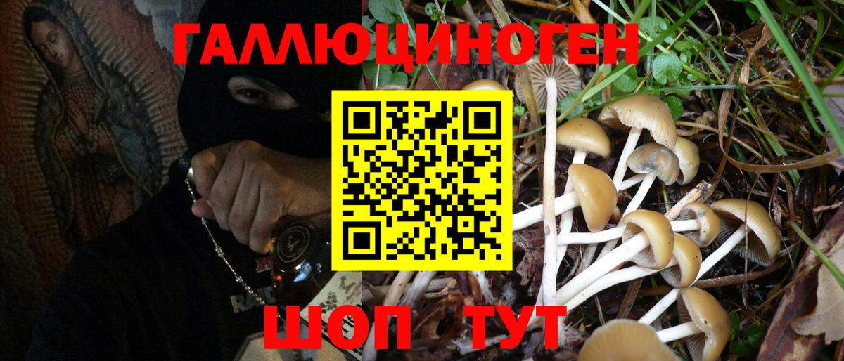 Богородск  Псилоцибиновые грибы MAGIC MUSHROOMS  Вход с VPN 