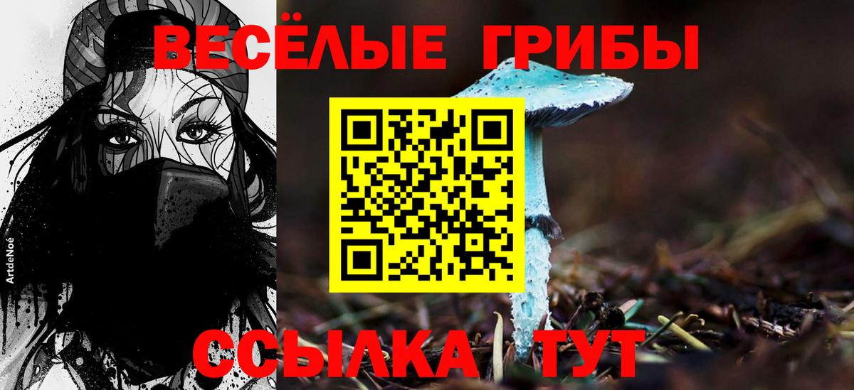 Галлюциногенные грибы ЛСД  Псилоцибиновые грибы Cubensis  Богородск 